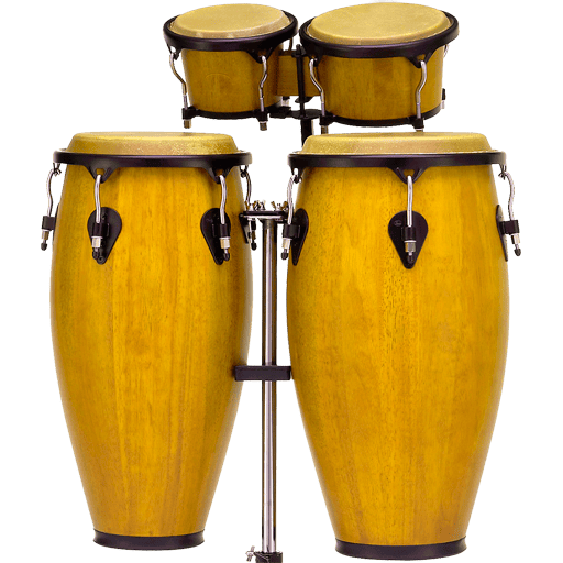 Timbales Pro